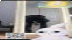 Velu tweet media