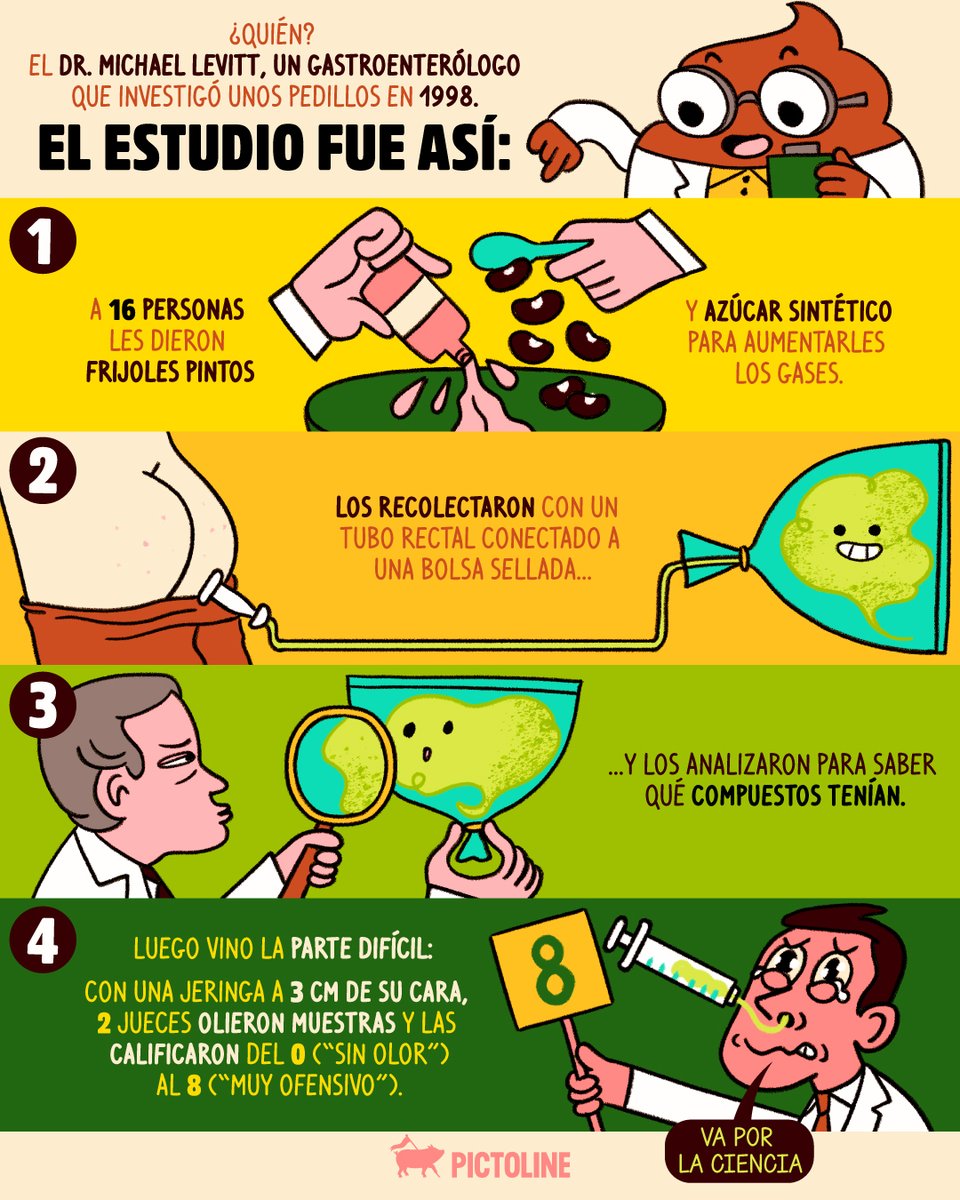 pictoline tweet media