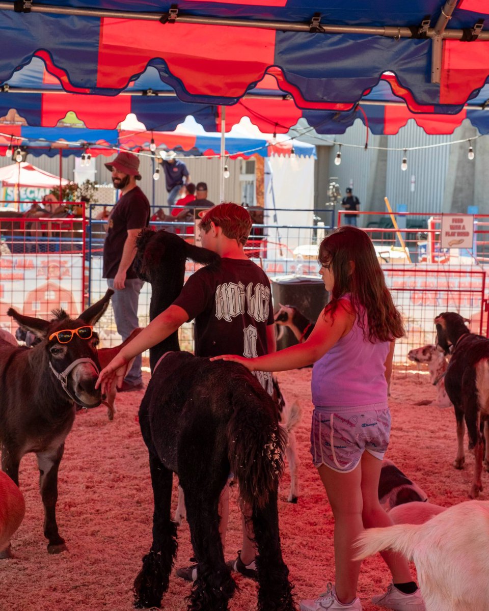 CAStateFair's tweet photo. Fair eve is officially here! 🎡 The Sacramento County Fair kicks off TOMORROW at Cal Expo! Tonight is your absolute last chance to buy pre-sale tickets and carnival wristbands online to save cash. Don't wait until you're in line at the gate! 🎟️
info here: https://t.co/JVQzRI0UmZ https://t.co/qsvsu5yb1f