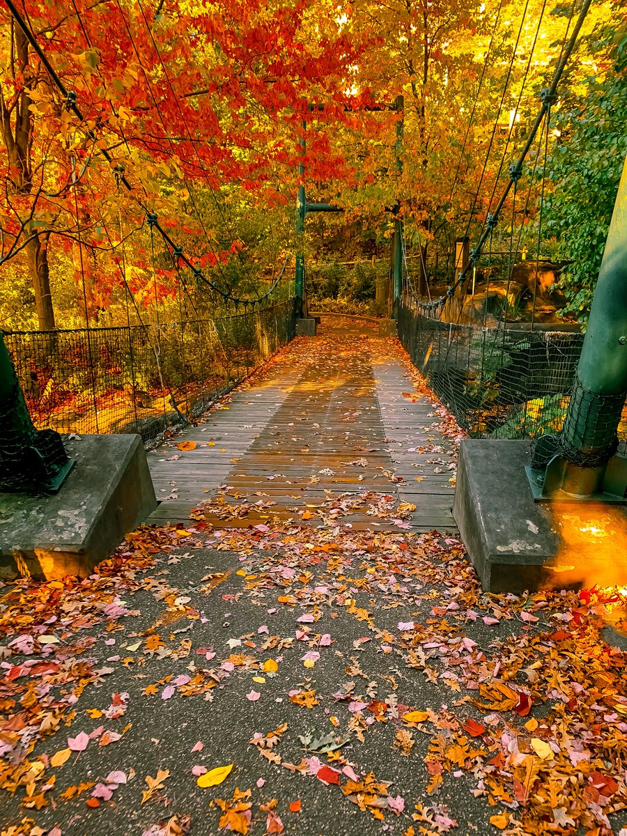 NaiboVisuals's tweet photo. No AI was used creating these!

4 seasons 🌸☀️🍁❄️ https://t.co/JbiWqLNc5r