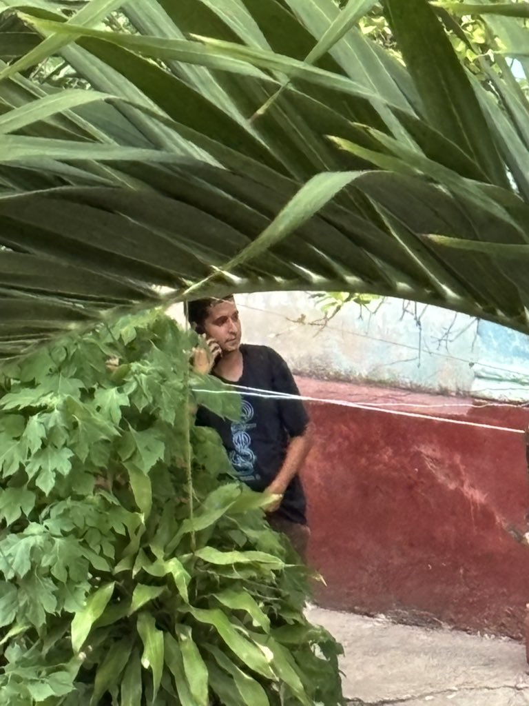 Camila Acosta tweet media