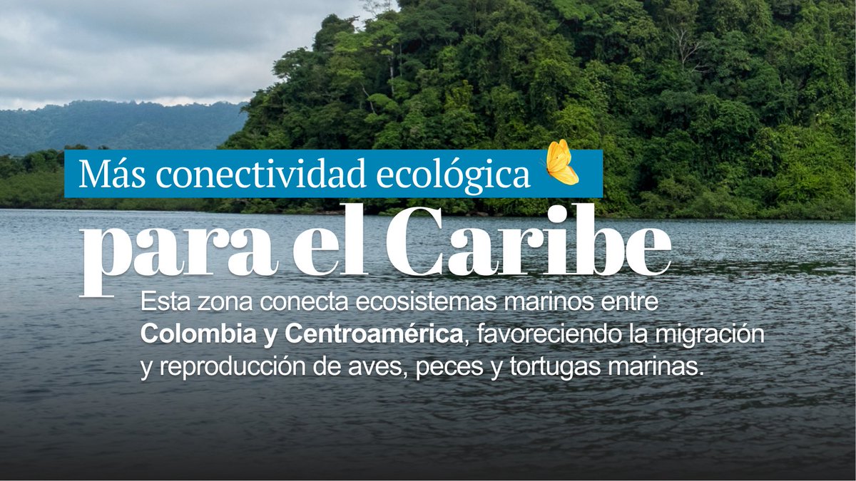 MinAmbiente Colombia tweet media