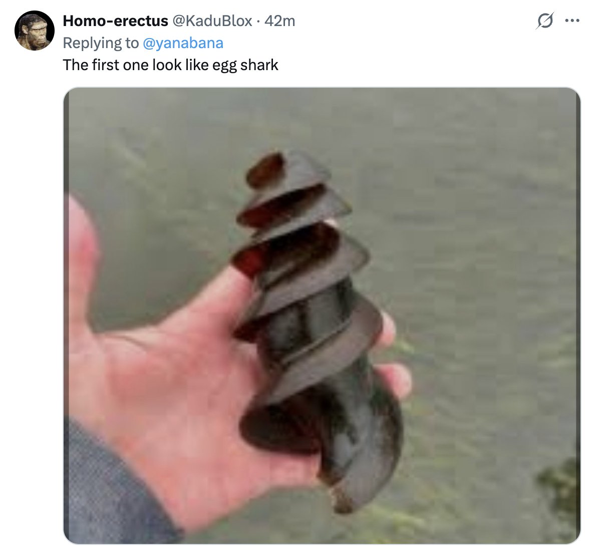Yana Welinder tweet media
