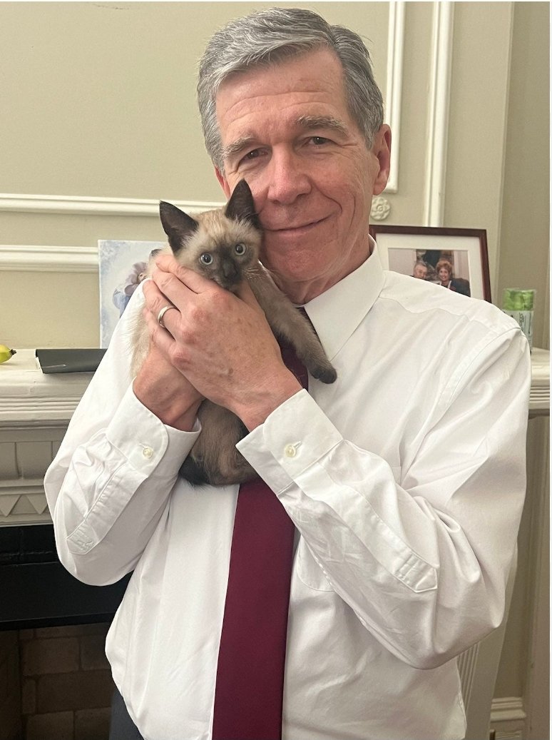 Honey Walz, Minnesota First Cat, Interim Catmander tweet media