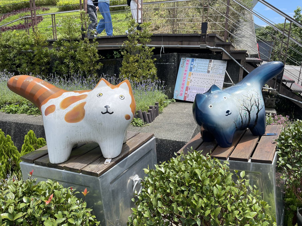 みんな猫猫しか言ってない件w