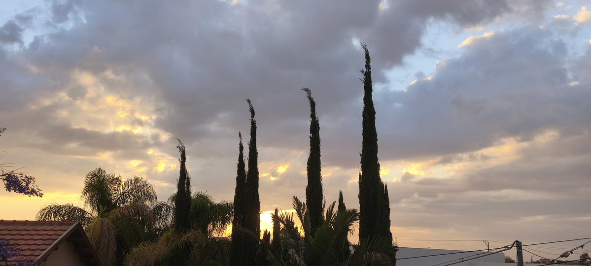 דבורה💚🌳💛🇮🇱 tweet media