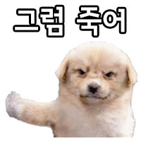 DancingRin tweet media