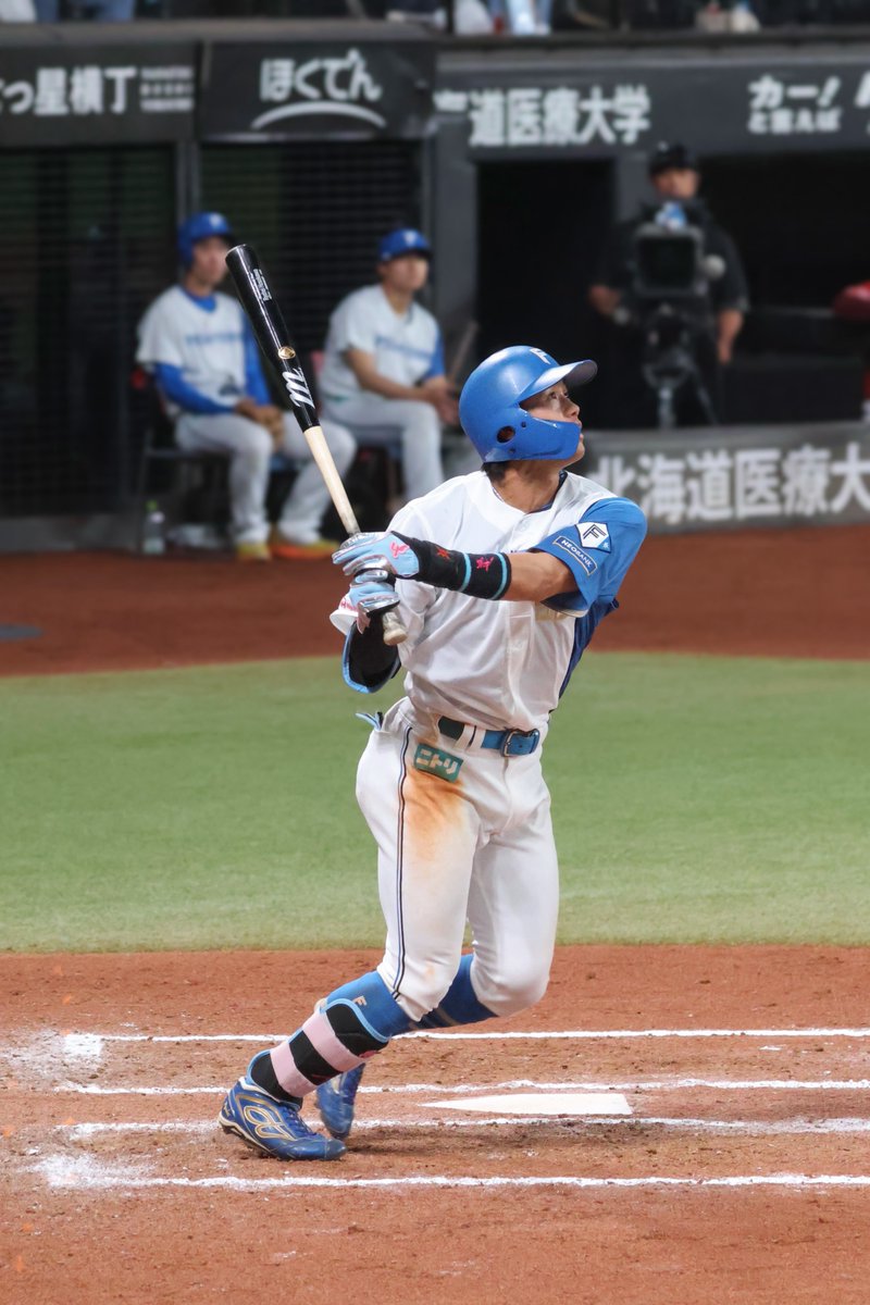 めがね tweet media