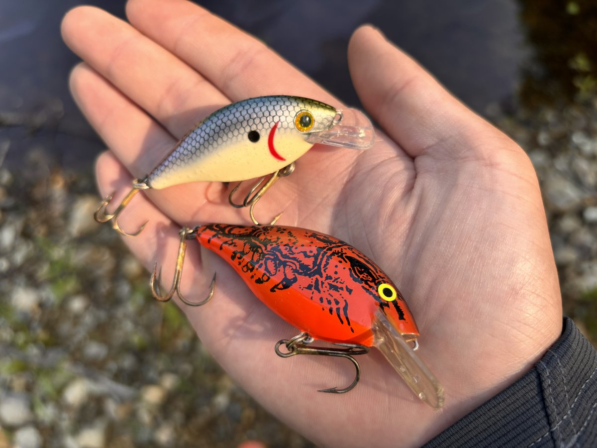 RAPALA ラパラ・ジャパン株式会社 tweet media