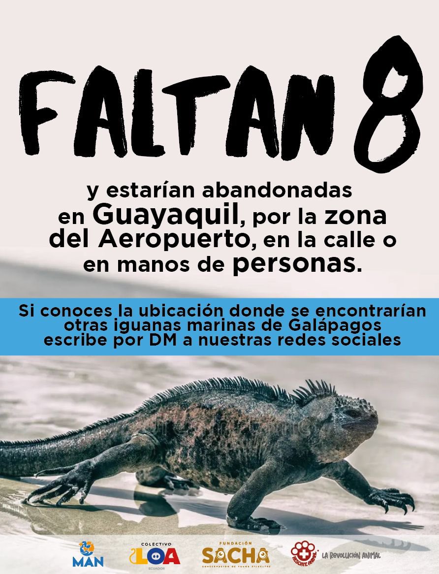 La Revolución Animal tweet media