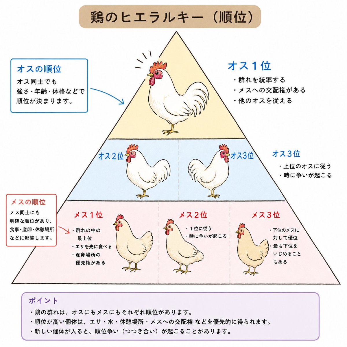 あっここ@鶏の人 tweet media