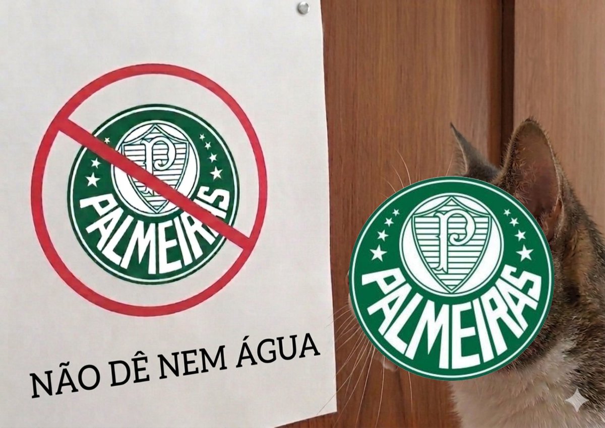 tmirandaa7's tweet photo. @Palmeiras https://t.co/qc2GDs0pSG