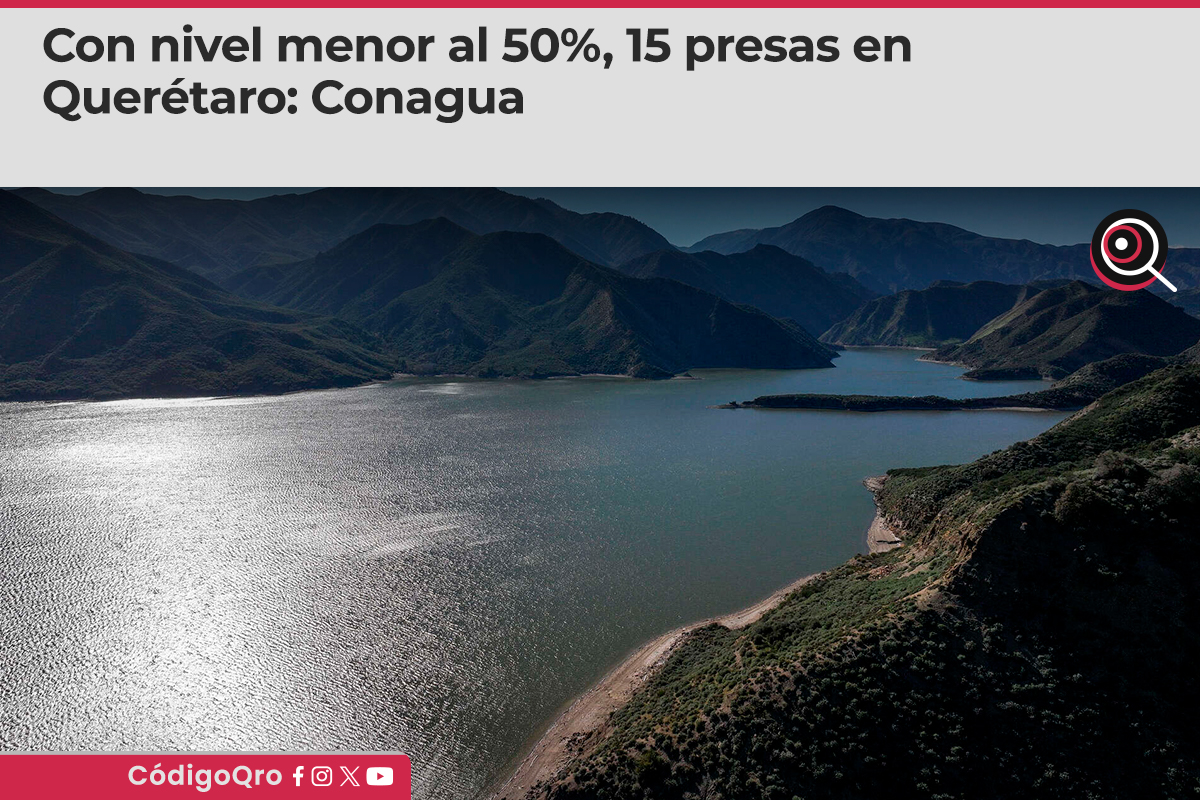 CódigoQro tweet media