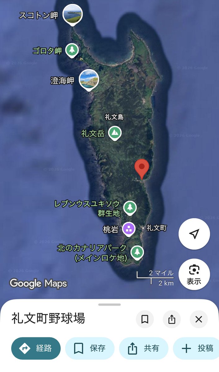 新日本ネモ党 tweet media
