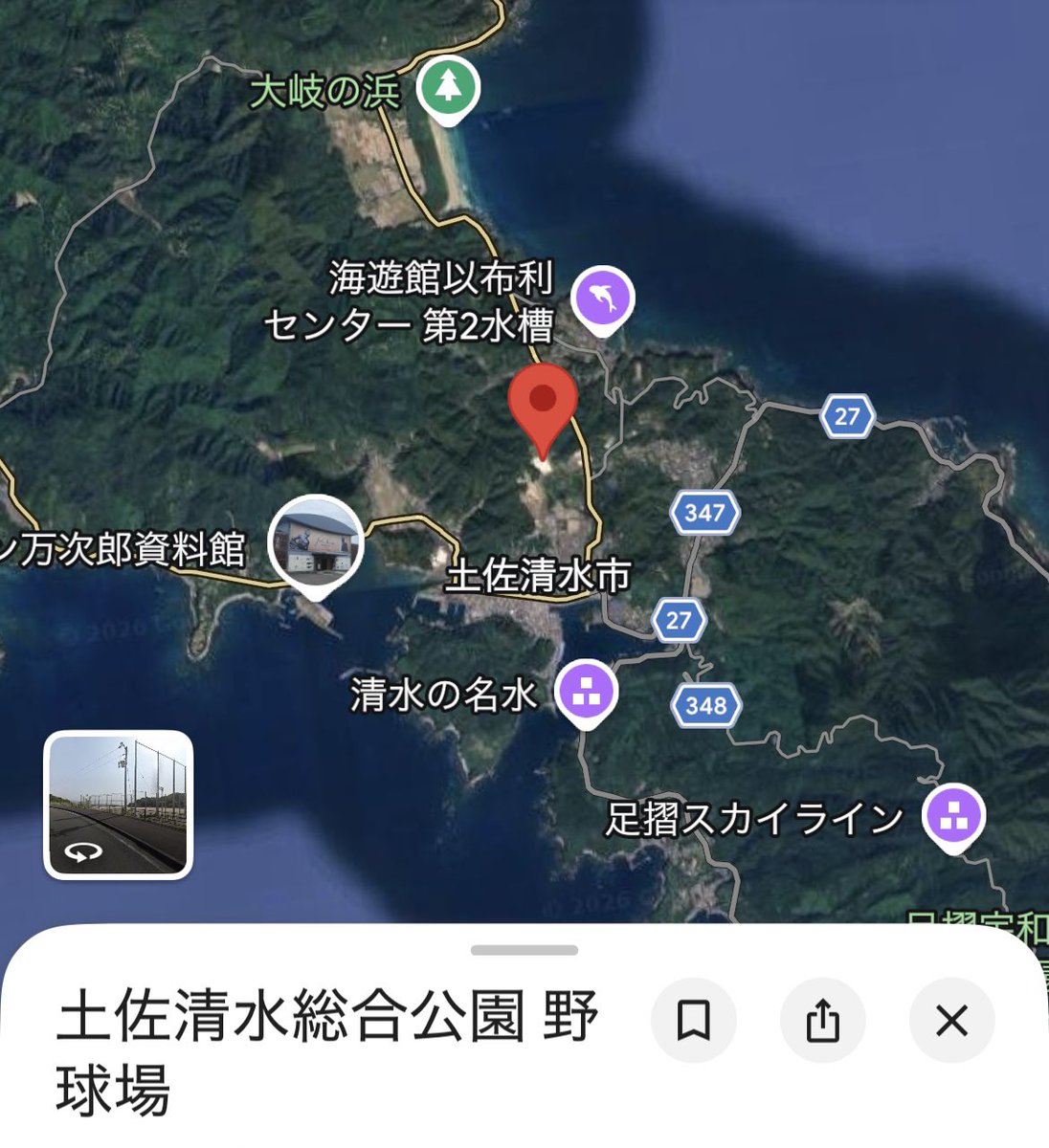 新日本ネモ党 tweet media