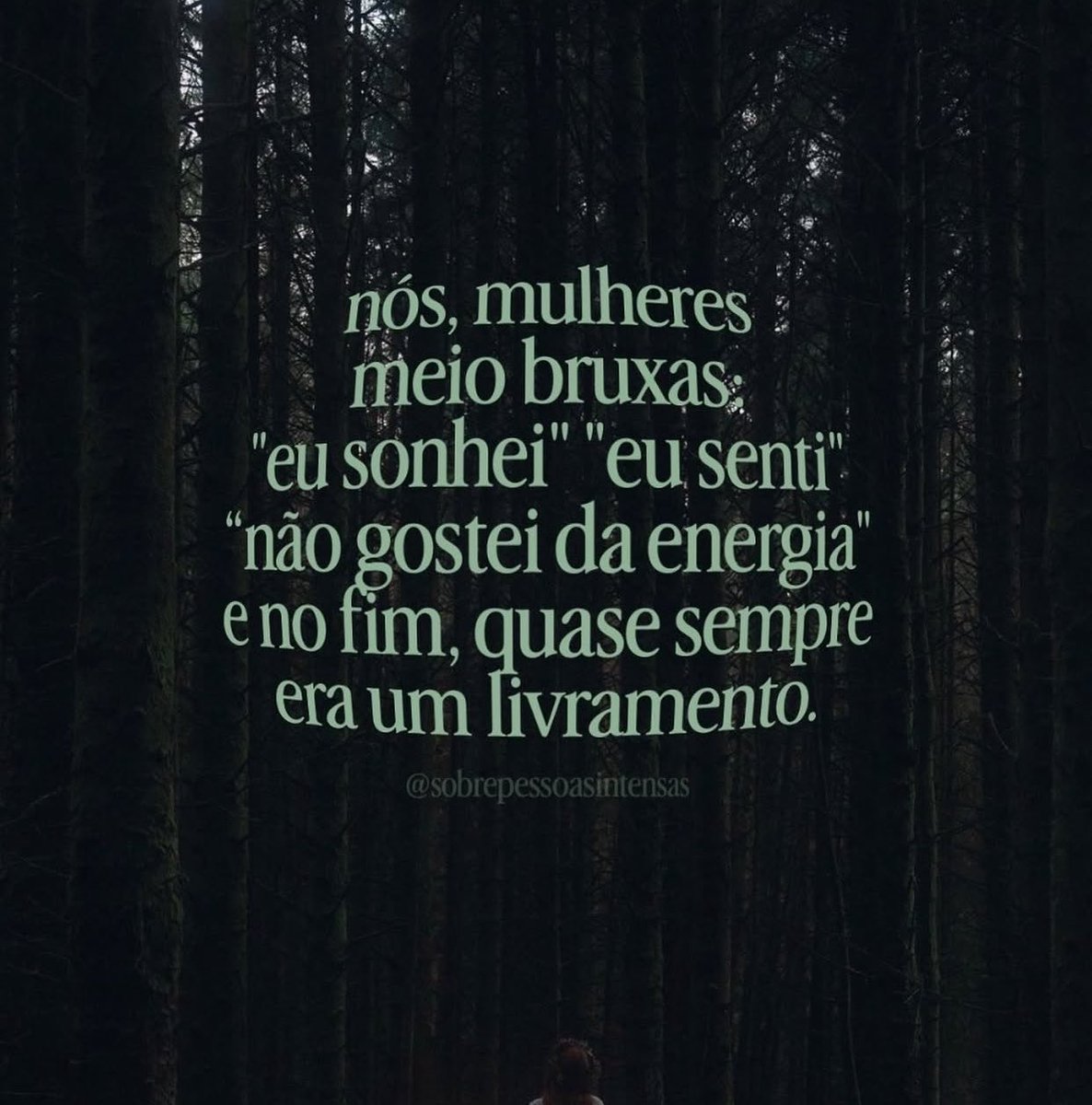 sincera tweet media