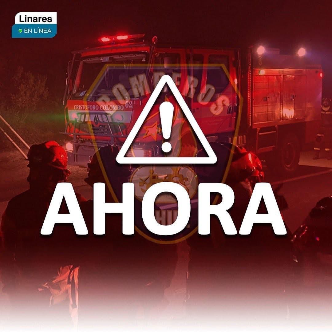 LinaresEnLíneaOficial tweet media
