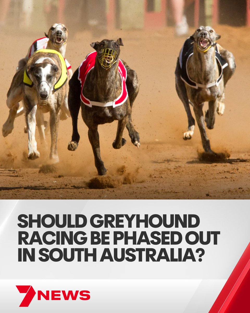 7NEWS Adelaide tweet media