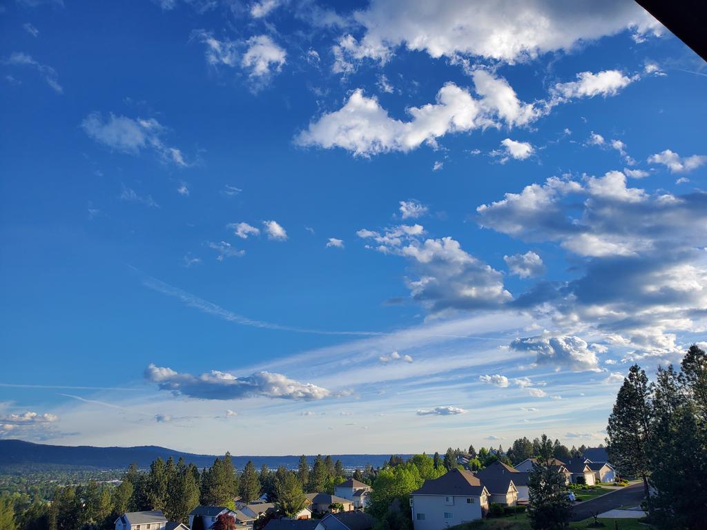 CAS369741's tweet photo. Interesting clouds this evening. 
20260520 1905 #pnw https://t.co/bag3W7WcSH