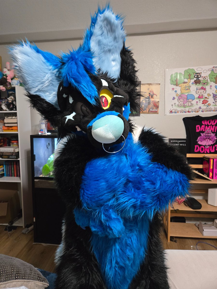 HunterStirling's tweet photo. More Birthday fursuit shenanigans! https://t.co/0TXt3kitUP