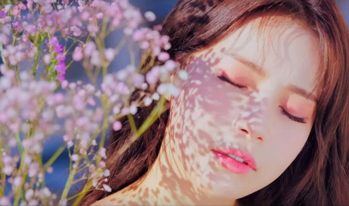 Cecilia09Ceci's tweet photo. 4 Flowers https://t.co/wdvFCq9TLe