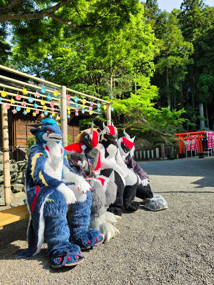 beniseasea's tweet photo. SBCH!!ナカマタチ！！🐉🦖🦢🕊️
#FursuitFriday
#こいと写真館 https://t.co/ZqqjDmmL0X