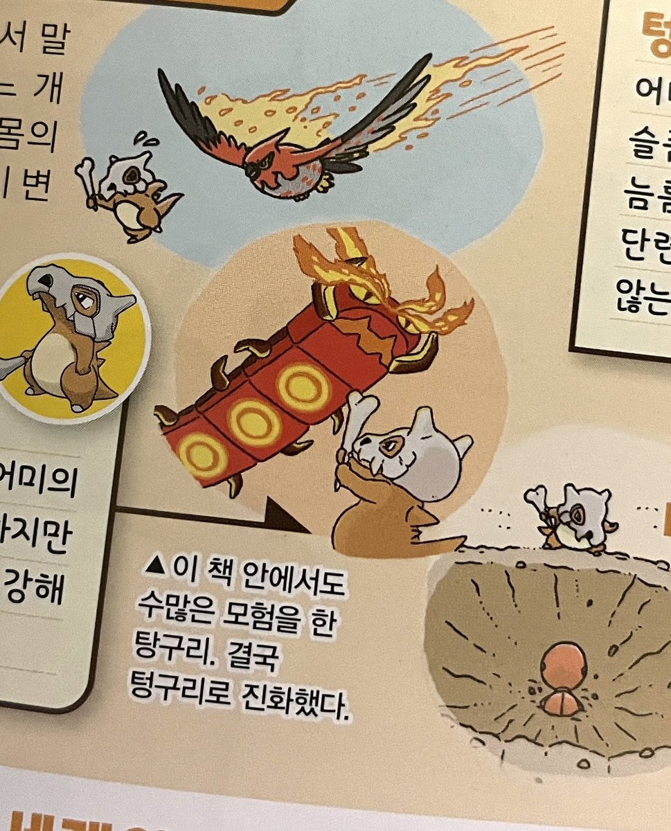 채이 tweet media