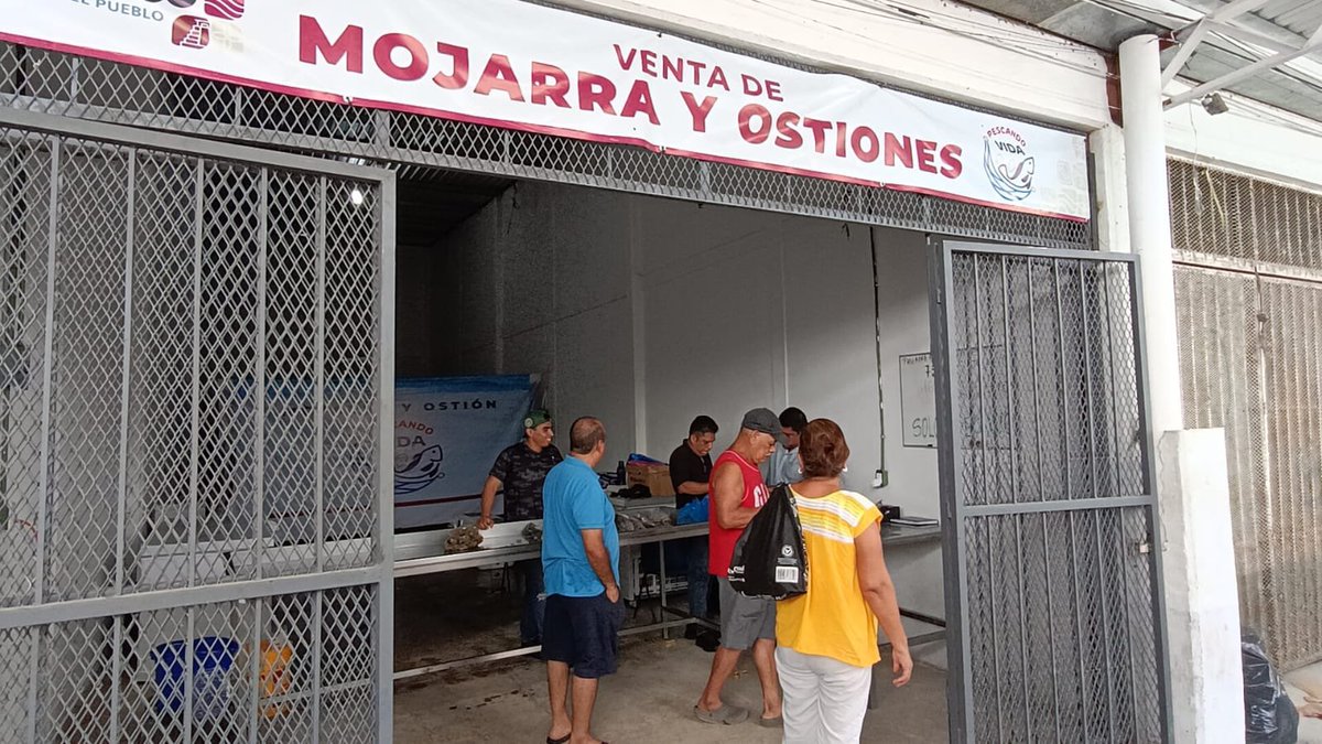 LineaTabasco's tweet photo. Comercializan mojarras y ostiones del programa Pescando Vida en la Central de Abasto de Villahermosa.

🎣 El kilo de tilapia se ofrece en 75 pesos https://t.co/8RADbS5PyX