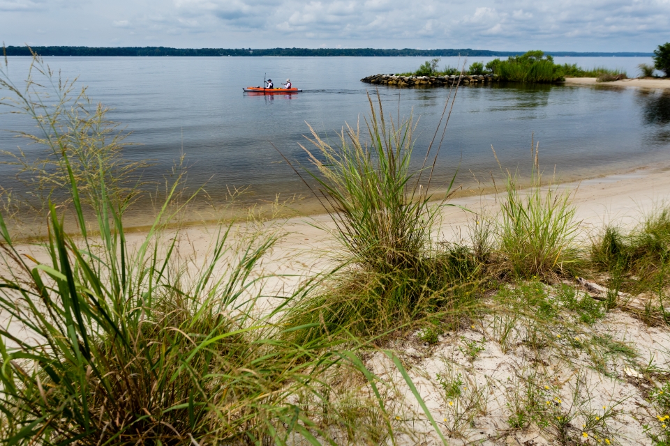 BLM_ES's tweet photo. Ready for adventure? FOUR national historic/scenic trails await you on BLM-managed lands in the east!

🌳 Potomac Heritage
⚔️ Washington-Rochambeau
⛵ Captain John Smith &amp; Star-Spangled Banner. 

Plan your visit: 
https://t.co/3Yp5JZheW1 
https://t.co/S8oRFPVQxM https://t.co/6RNZG6lKDy