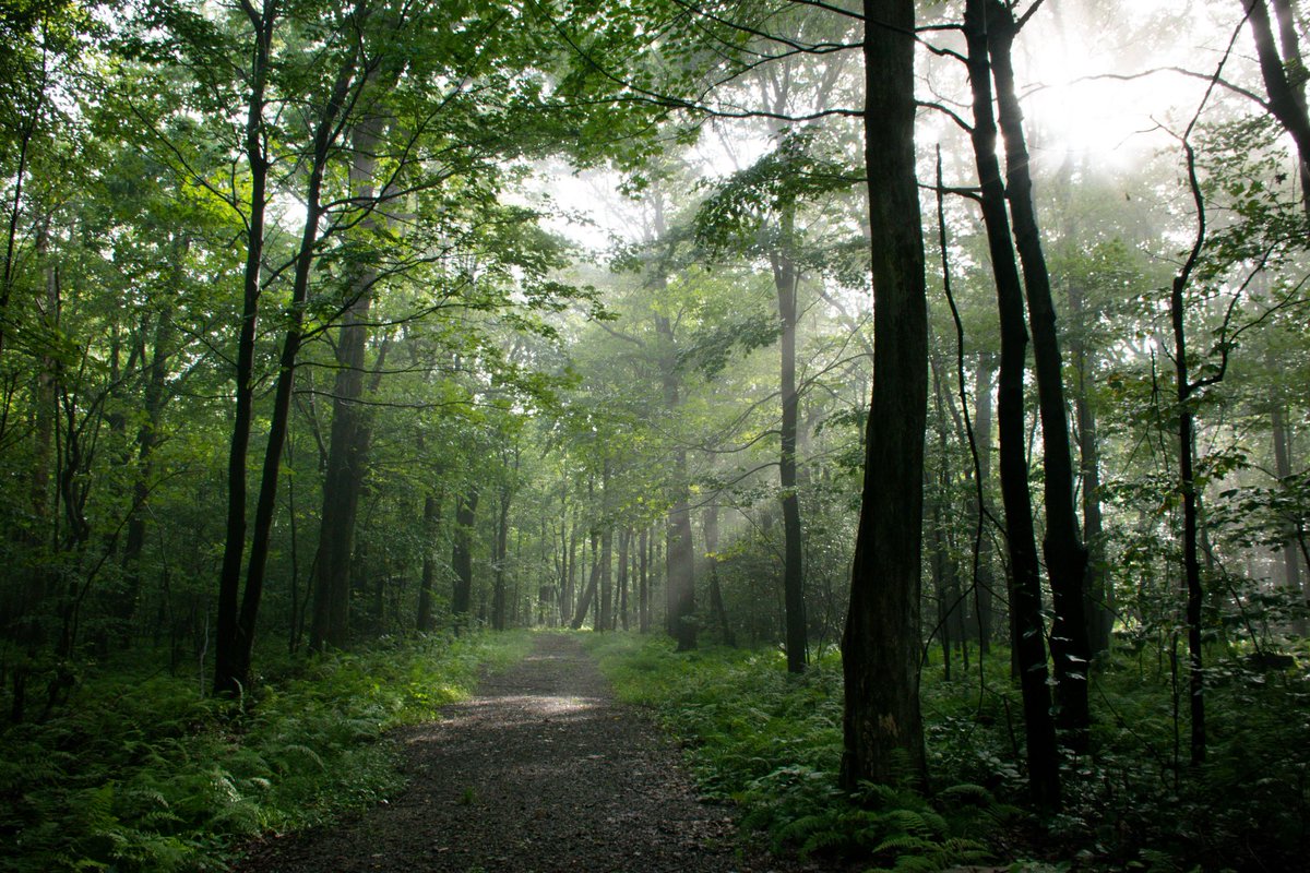 BLM_ES's tweet photo. Ready for adventure? FOUR national historic/scenic trails await you on BLM-managed lands in the east!

🌳 Potomac Heritage
⚔️ Washington-Rochambeau
⛵ Captain John Smith &amp; Star-Spangled Banner. 

Plan your visit: 
https://t.co/3Yp5JZheW1 
https://t.co/S8oRFPVQxM https://t.co/6RNZG6lKDy