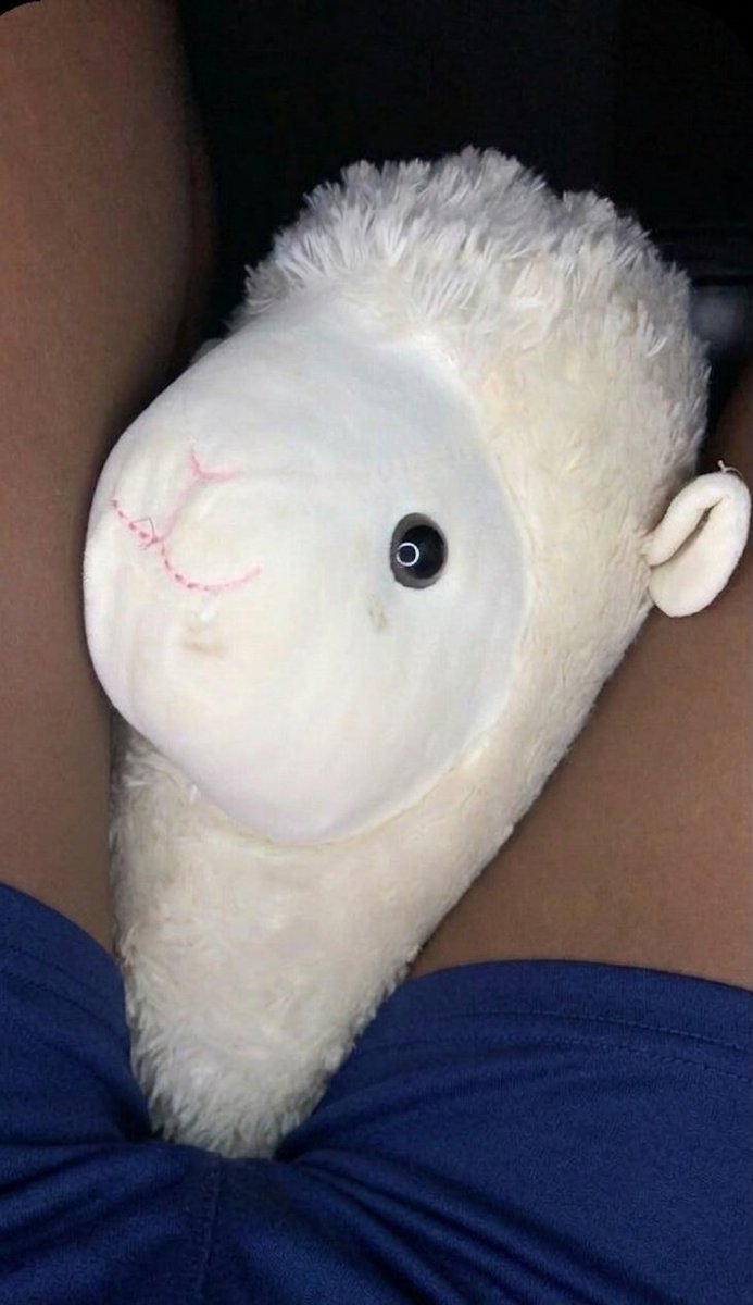 ShreyaSharma189's tweet photo. Imaging You in place of my teddy. 🤫 https://t.co/UXhmtXk1Gh