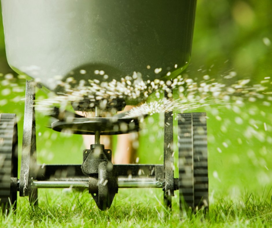 EverSoGreenMI's tweet photo. By June, your lawn has already used up much of its spring nutrients.

A balanced, slow-release fertilizer helps keep it green and strong into summer.

Learn more: https://t.co/GJF0CwaUNY

#LawnCare #WeedControl #Fertilization #Michigan https://t.co/Ervwq4TAqf