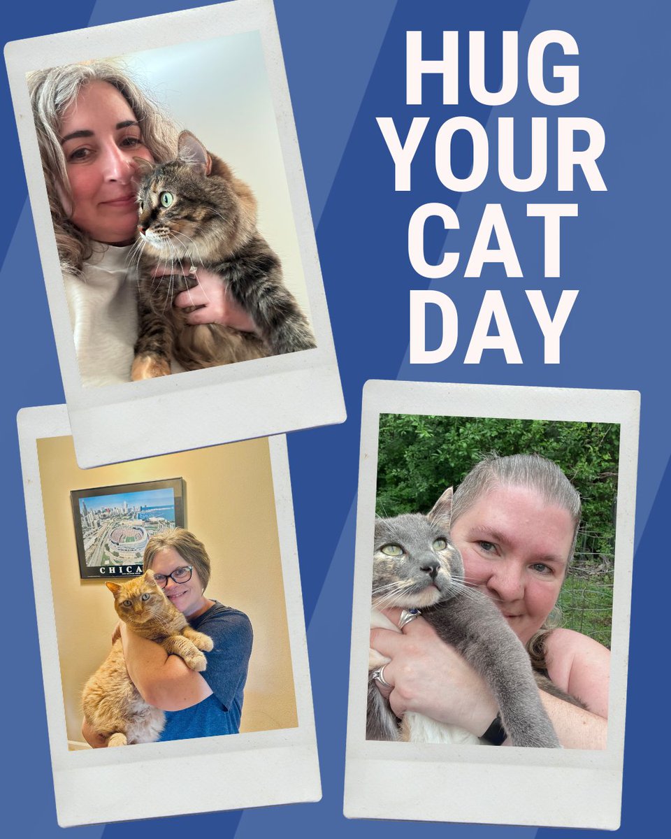 StraubMarketing's tweet photo. It's National Hug Your Cat Day! 🐱❤️

The Straub Marketing team understood the assignment and gave their feline coworkers a little extra appreciation today. From purrs to head boops (and maybe a few escape attempts), these cats are feeling the love. https://t.co/Q8y1RnZZpc
