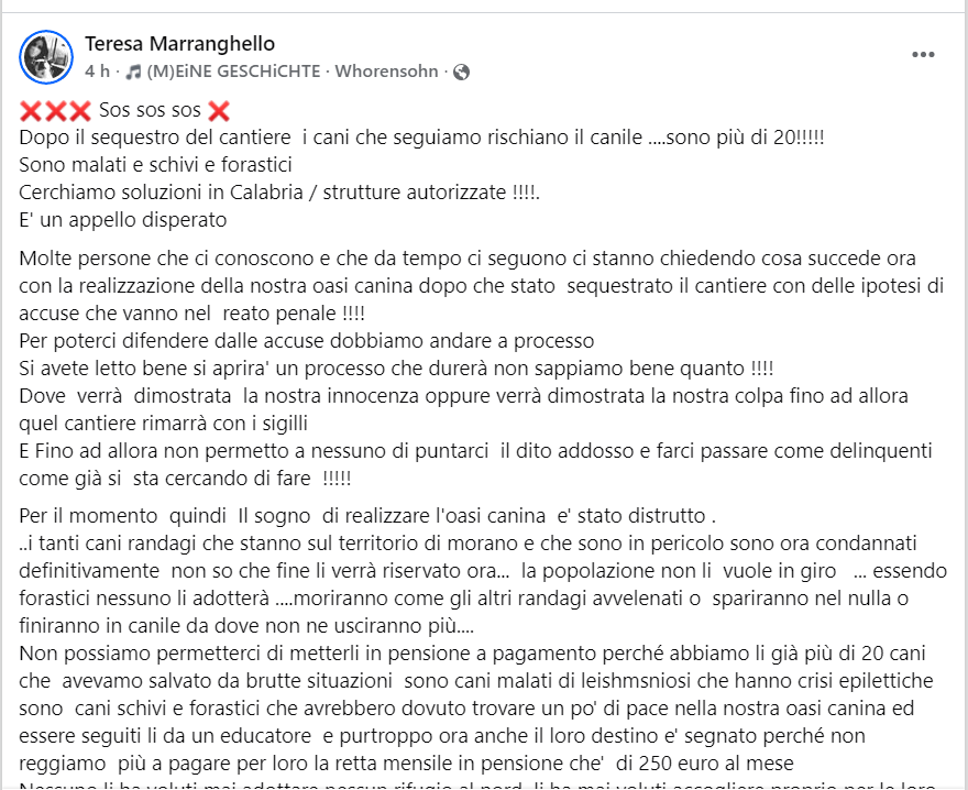 zampa_qua's tweet photo. APPELLO DISPERATO⛔️⛔️⛔️⛔️⛔️⛔️⛔️⛔️AIUTOOO🆘🆘🆘🆘☎3290269673🐕
https://t.co/C70SsMj24X I cani che segue Teresa rischiano il canile,si cercano strutture autorizzate in Calabria che possono accoglierli magari solo dando cibo e spese vet #4voiceless 🙏 https://t.co/0MWO851Kwu