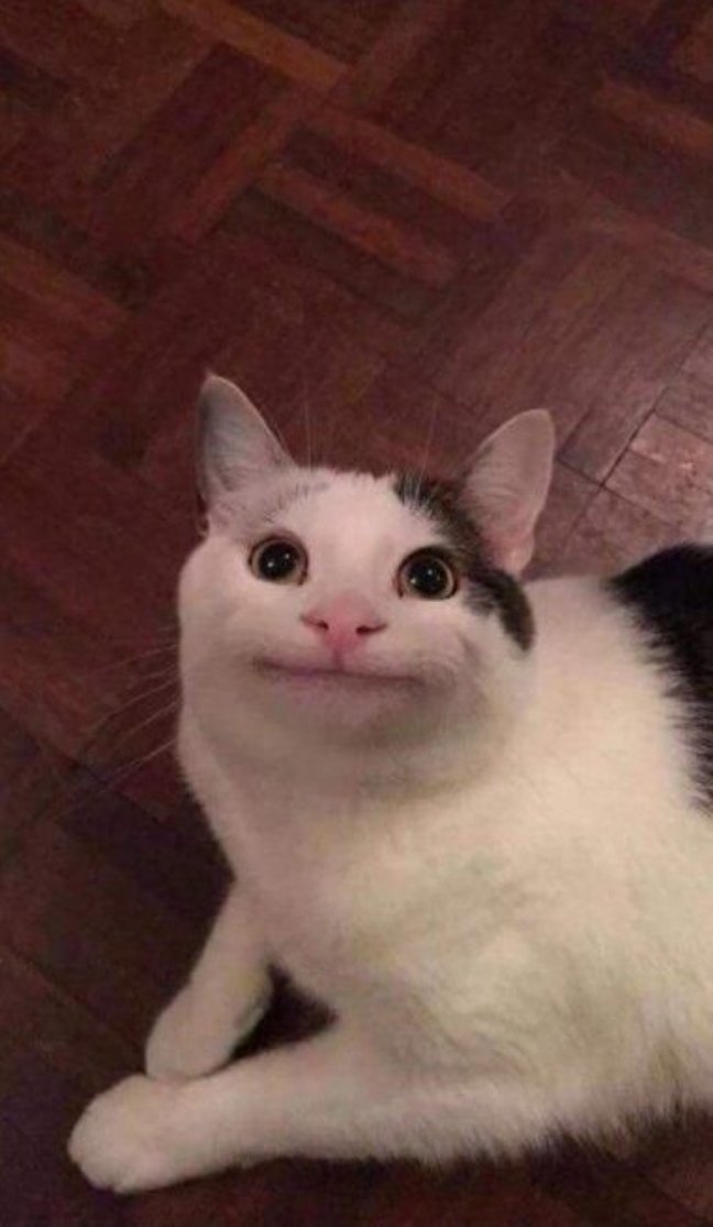 JayheartsJonas's tweet photo. This being Nick's default face lately is so funny https://t.co/fluLsN7Thq