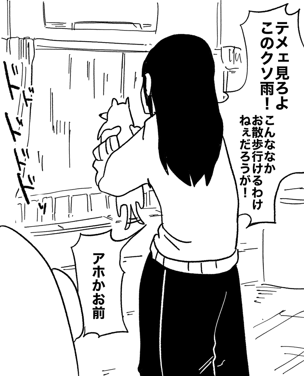 kore_inu2's tweet photo. 台風の日に犬にキレる友達 https://t.co/TXYUJpbSEt