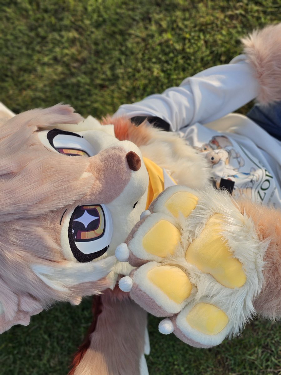 FumiVee_'s tweet photo. #fursuitfriday Xd https://t.co/c2qKvZtFZ8