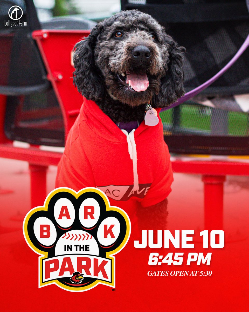 RocRedWings's tweet photo. 🐶⚾ Bark in the Park returns to ESL Ballpark on June 10 🐾

Bring your four legged best friend out for a night of baseball, tail wags, and ballpark fun 🦴❤️

📅 June 10
First Pitch: 6:45 PM
Gates Open: 5:30 PM

https://t.co/j9FIuxMXLN https://t.co/8hCmnjC8ml