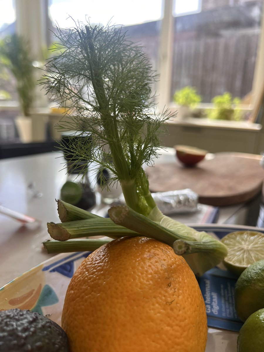 BartMos's tweet photo. Help, d’r groeit iets uit me fruitschaal!! https://t.co/AqJ0uXToZl