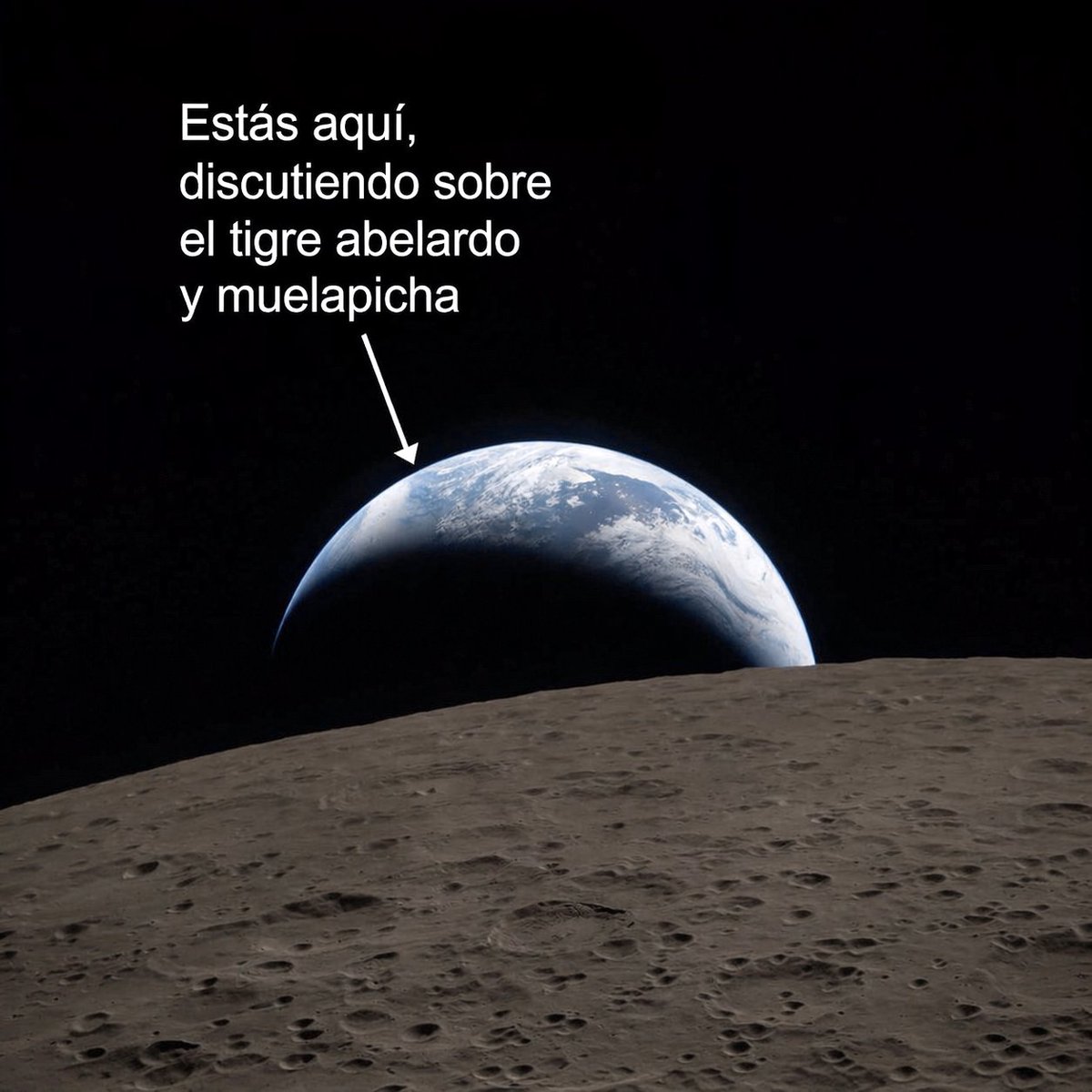 ArchLaberinto's tweet photo. https://t.co/u5Ic1zCaH8