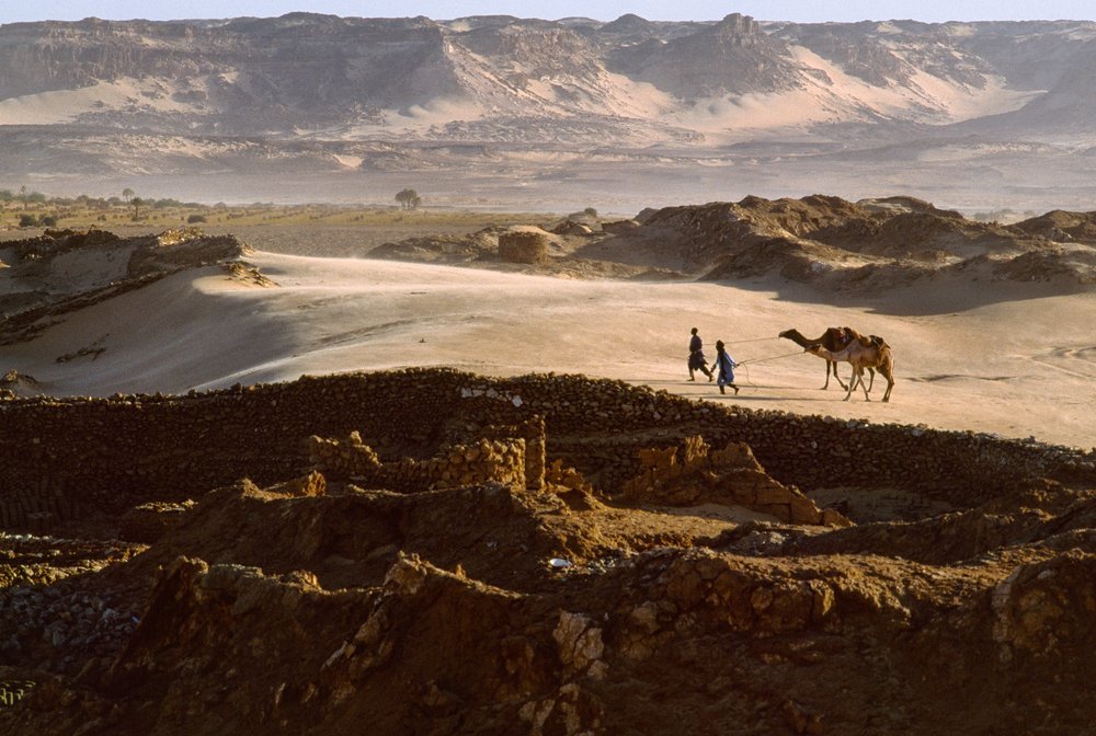 rhaplord's tweet photo. "Camel with salt caravan members cross a desert plateau at Bilma, Niger"

#ethnographxt https://t.co/LKI5dtWFIg
