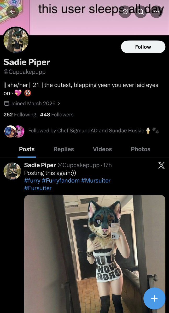 SplatFennec's tweet photo. This is an AI account. They steal others’ images and edit them using AI. There are more and more of these. https://t.co/9tXAjV5wVh