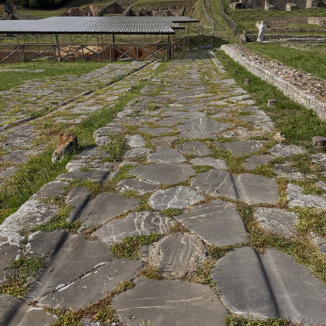MEGALITHOMANIA's tweet photo. #Roselle is a massive archaeological site in #Tuscany. Gigantic #cyclopean walls, #Etruscan ruins and #Roman paved road with cart ruts! Great day out but lots of walking as the wall alone is 3km around the site. Seriously #megalithic 🔥
#Megalithomania @HughNewmanUK https://t.co/74KlcXhx5z