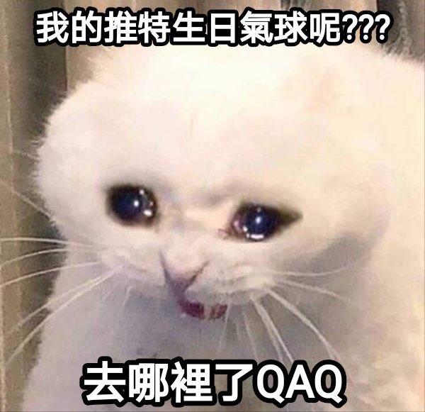 Vavaa520's tweet photo. 今天是我生日，可以跟我說那四個字嗎？ https://t.co/DNHrNPqTT6