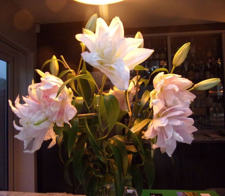 Flowers tweet media