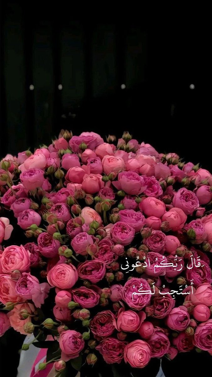 lllsiiis's tweet photo. #اسطول_زعماء_تويتر
#مشاعل 🦋🤍🩵💙

استقبل الحياة بالاستبشار☁️
توقع أن يكون كل يوم مليئاً بالسعادة ، مليئاً بالاطمئنان ، مليئاً بالتيسير ..ركز على الجوانب الطيبة والإيجابية لكل لحظة مهما كانت نظرتك لحياتك ، فإن مالديك من هبات ربك أكثر بكثير مما ينقصك .. ربنا لك الحمد والشكر https://t.co/XUCCdqxCUW