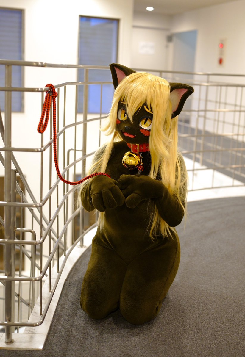 kur0_nek0_CH4N's tweet photo. 🫸🐈‍⬛💦
#FursuitFriday https://t.co/Y5EMULetvC
