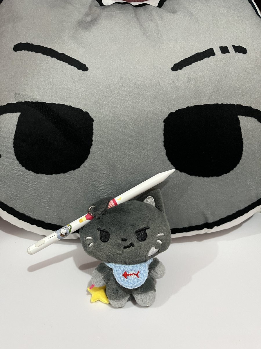 plainjjayn's tweet photo. hihihihi my Noxstar &amp; Jjongcat :33333 <33333 https://t.co/8XLQkPWYY8