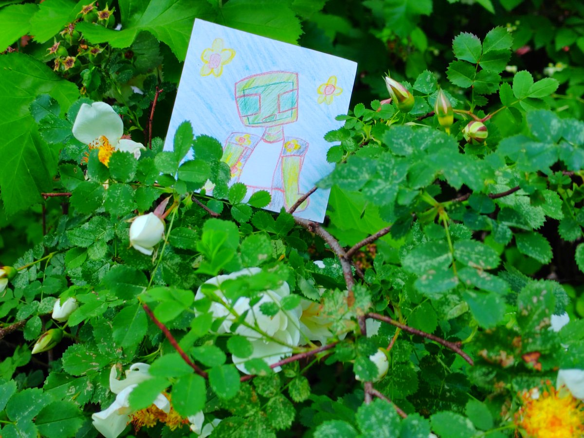Card_Stoat tweet picture