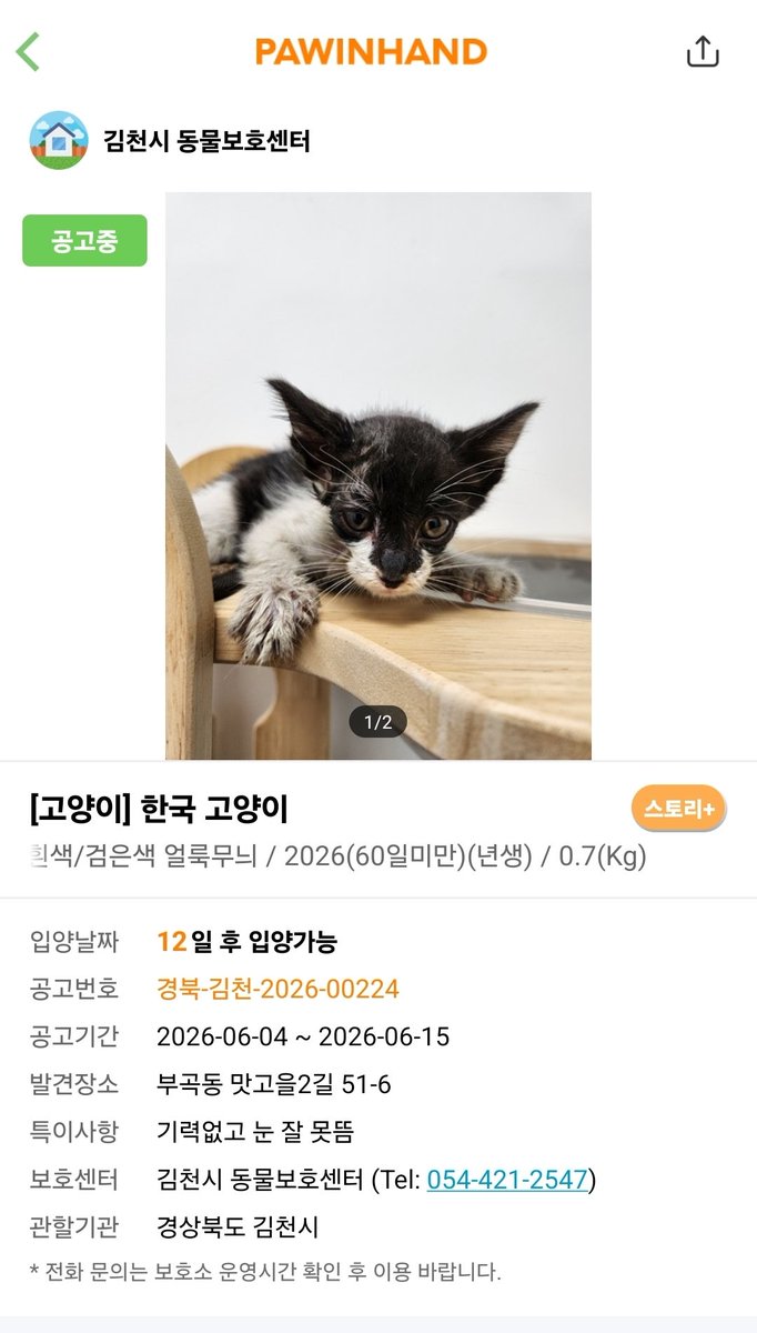 mwoya894993's tweet photo. 순간 내 눈을 의심했다
강아진줄 알았어..누나가 미안해
#고양이 #고양이입양 #사지말고입양하세요 #입양홍보 https://t.co/Rw7WAq9unR
